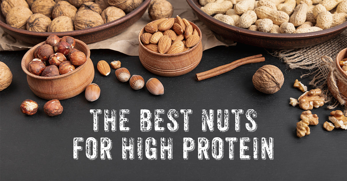 The Best Nuts For High Protein Camel Nuts