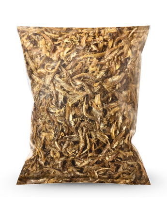 1kg Bag of Camel Nuts Chilli Anchovies Crisp a white background