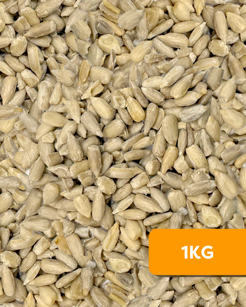 Close-up of Camel Nuts sunflower seeds with an orange label indicating 1KG.