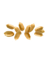Delicious roasted peanuts from Camel Nuts on a white background