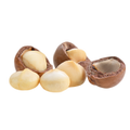 Camel nuts macadamias collection 