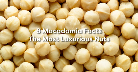 8 Macadamia Facts: The Most Luxurious Nuts