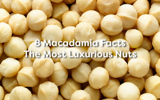 8 Macadamia Facts: The Most Luxurious Nuts