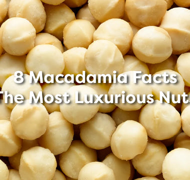 8 Macadamia Facts: The Most Luxurious Nuts