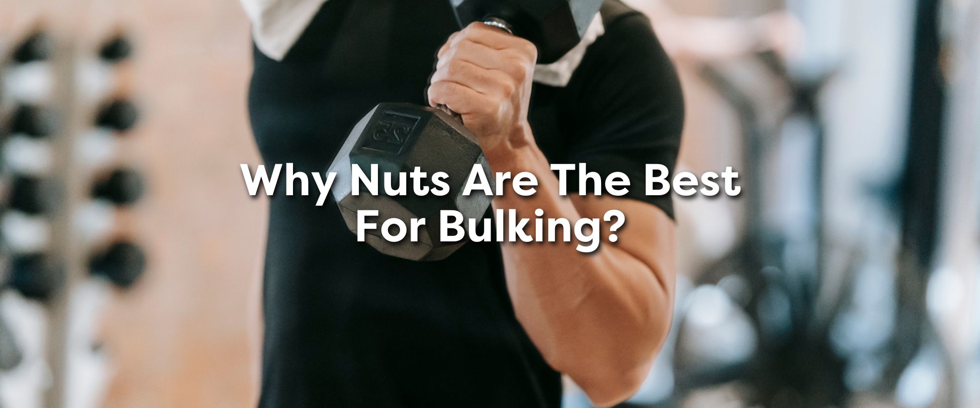 Why Nuts are the Best for Bulking?