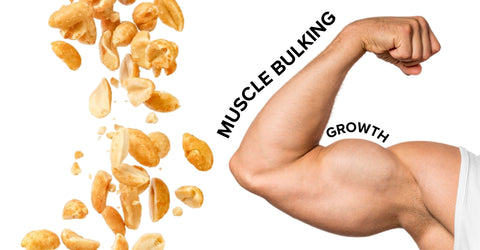 Why nuts are the best for bulking?