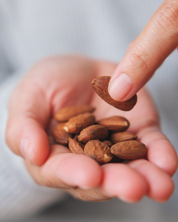 Camel Nuts Singapore almonds in hand – Hand holding and picking almonds.