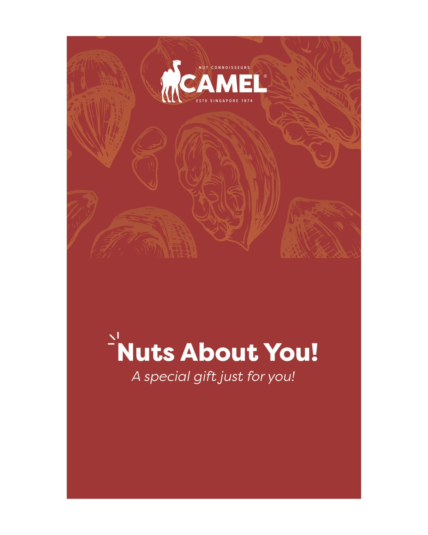 Camel Mix Natural Baked Nuts & Fruits Mix Bundle – Camel Nuts