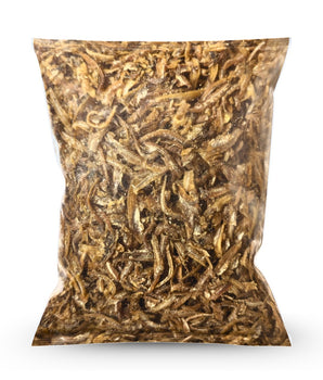 1kg Bag of Camel Nuts Chilli Anchovies Crisp a white background