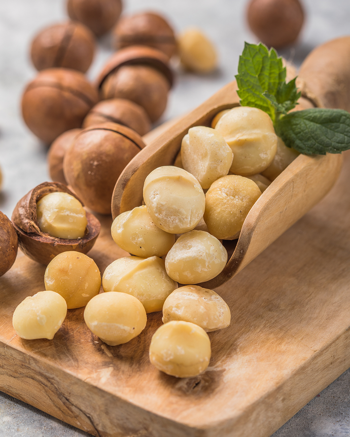 Camel Nuts Singapore macadamias in scoop – Macadamias in a wooden scoop with shells in the background.
