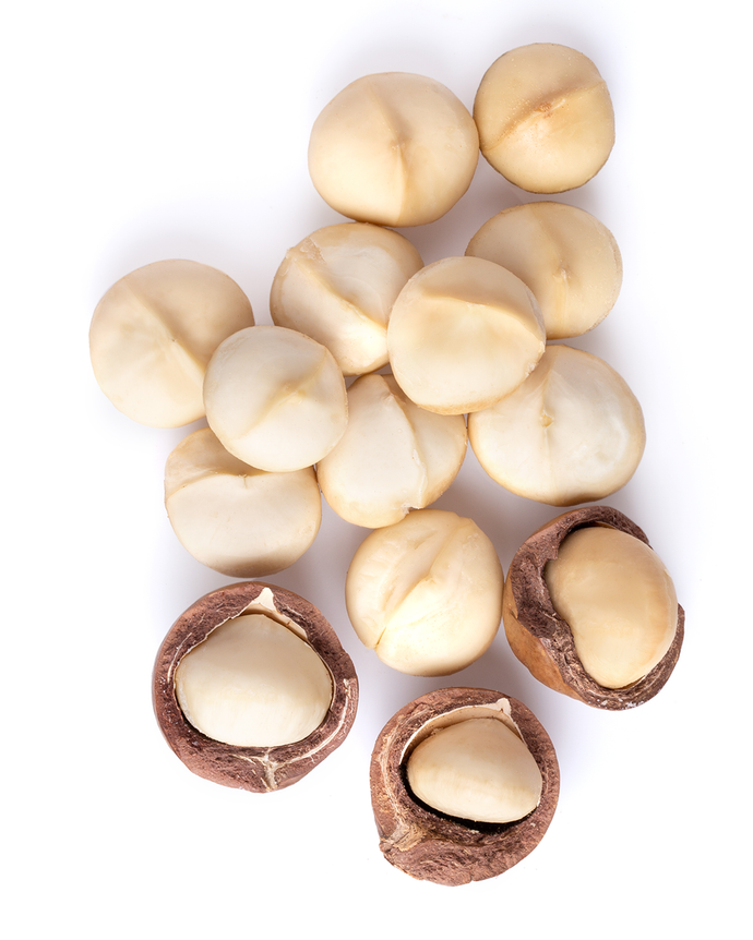 Camel Nuts Singapore macadamias with shells – Fresh macadamia nuts, shelled and unshelled, against white background.