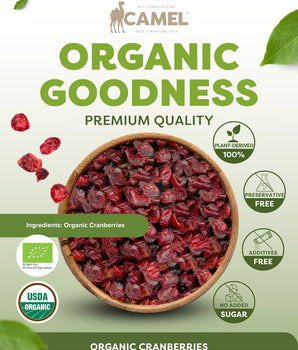 Camel Nuts Organic Cranberries, premium quality with certificate logos and healthy icons