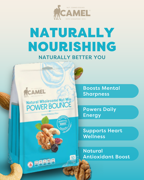Power Bounce