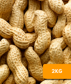 Close-up of Camel Nuts peanuts with a 2KG label