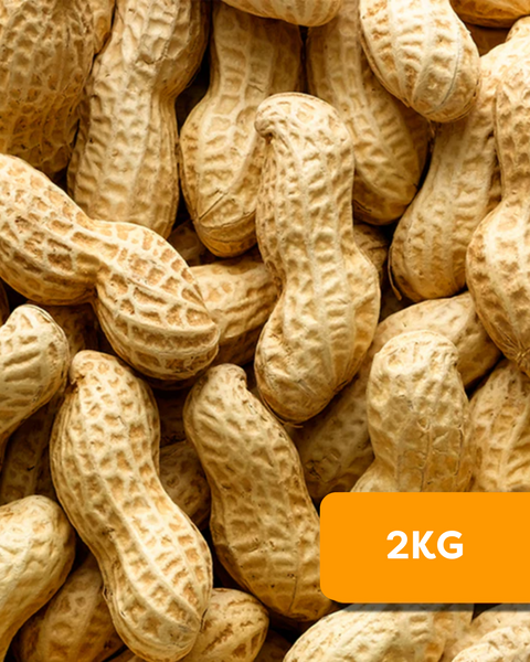 Close-up of Camel Nuts peanuts with a 2KG label