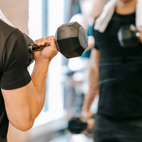 Fitness Enthusiasts