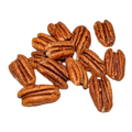 Camel nuts pecans collection